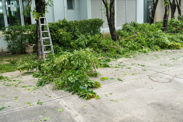 Leaf Removal in Mount Arlington, NJ